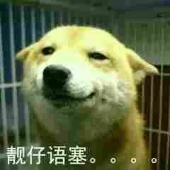 柴犬斗图表情包