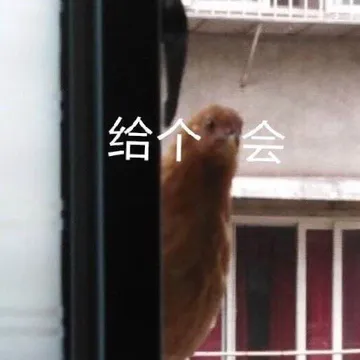 给个机会 - 近期斗图表情包精选-2019-7-16
