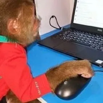 吗喽打工猴表情包
