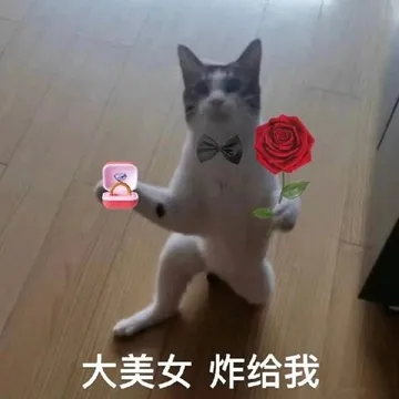 大美女炸给我