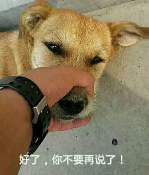 好了，你不要再说了！