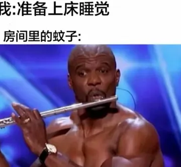 我：准备上床睡觉房间里的蚊子：