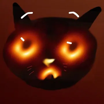 猫猫