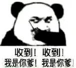 收到!收到!我是你爹!我是你爹