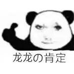 龙龙肯定