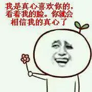 我是真心喜欢你的，看着我的脸。你就会相信我的真心了