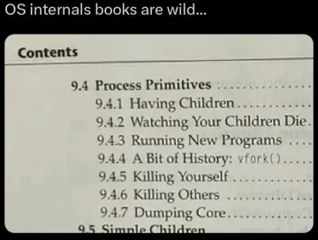 OS Internals Books Are Wild