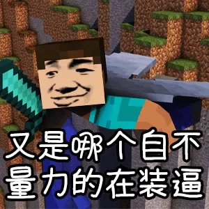 我的世界+反迷你