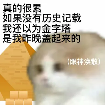 真的很累如果没有历史记载我还以为金字塔是我昨晚盖起来的(眼神涣散)