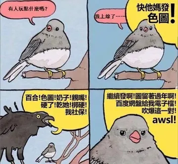 色图伸手党