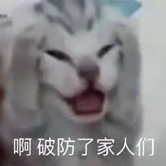 啊破防了家人们