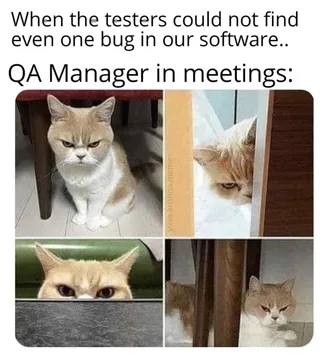 The Skeptical QA Manager's Death Stare