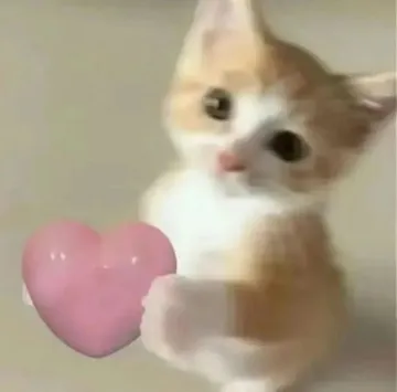 猫猫表情包 小心心给你