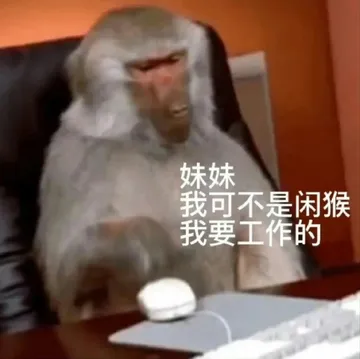 妹妹我可不是闲猴我要工作的