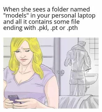 When Your ML Models Look Suspicious