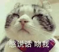 憋说话，吻我