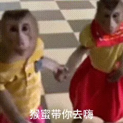 猴蜜带你去嗨(吗喽表情包)