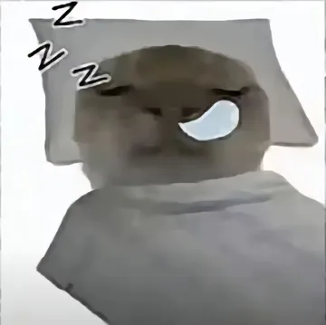 基米睡着