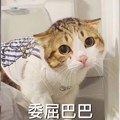 委屈巴巴