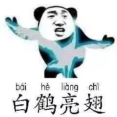 白鹤亮翅(太极)