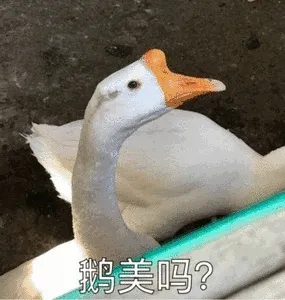 鹅美吗