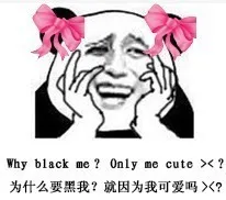 为什么要黑我？就因为我可爱吗？（why black me? only me cute?）