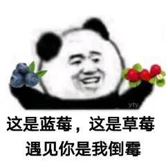 这是蓝莓.这是草莓遇见你是我倒霉