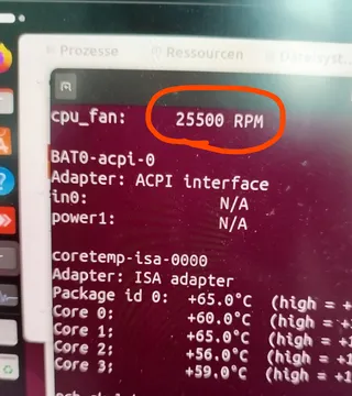 That's Why My Laptop Is So Noisy