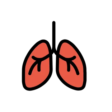 Lungs
