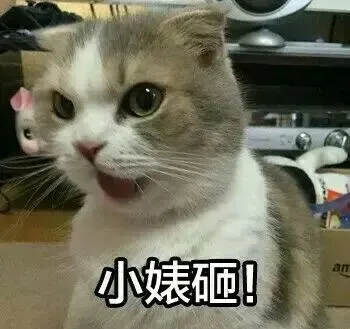 小婊砸！