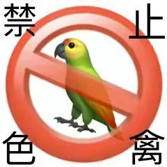 禁止色禽