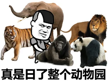 真是日了整个动物园了