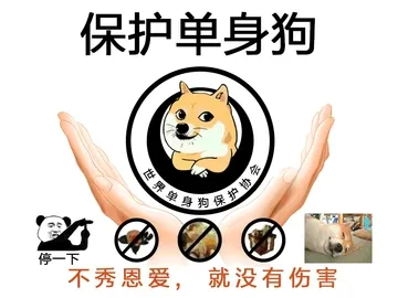 保护单身狗，不秀恩爱，就没有伤害！（世界单身狗保护协会）