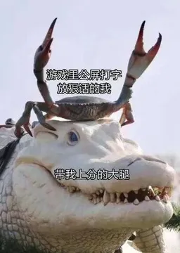 游戏里公屏打字放狠话的我 带我上分的大腿