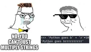 Python Goes Brrrrrrrrrr