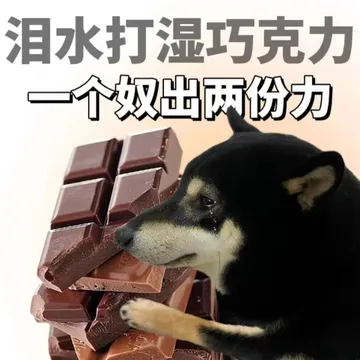 泪水打湿巧克力一个奴出两份力