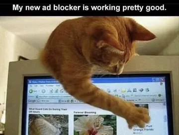Catblock Activated!