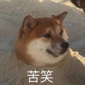 苦笑