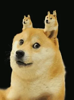 doge无限动图