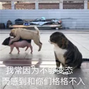 我常因为不呢变态而感到和你们格格不入