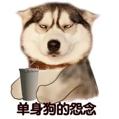 单身狗的悉念