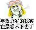 年仅17岁的我实在是看不下去了