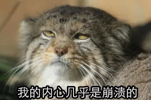 我的内心几乎是崩溃 的 - 有种放学憋走!喵喵
