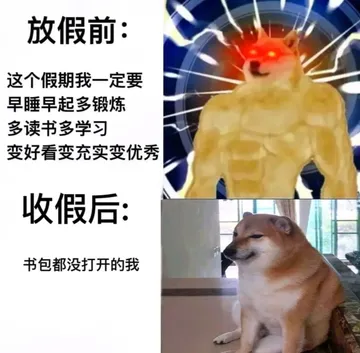 放假前:这个假期我一定要早睡早起多锻炼多读书多学习变好看变充实变优秀收假后:书包都没打开的我