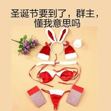 圣诞节到了.群主.懂我的意思吗?