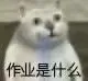 作业是什么