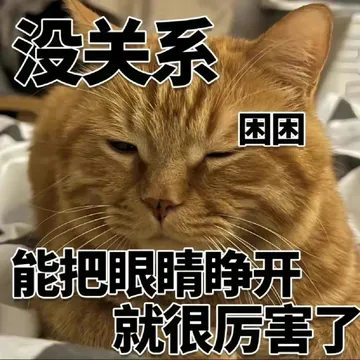 没关系困困能把眼睛睁开就很厉害了