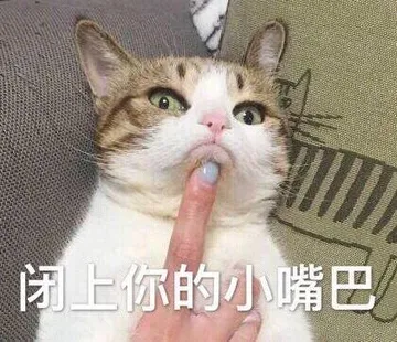 闭上你的小嘴巴（猫咪）