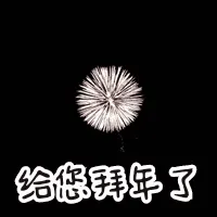 给你拜年了(小鸡)