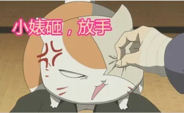 小婊砸，放手
